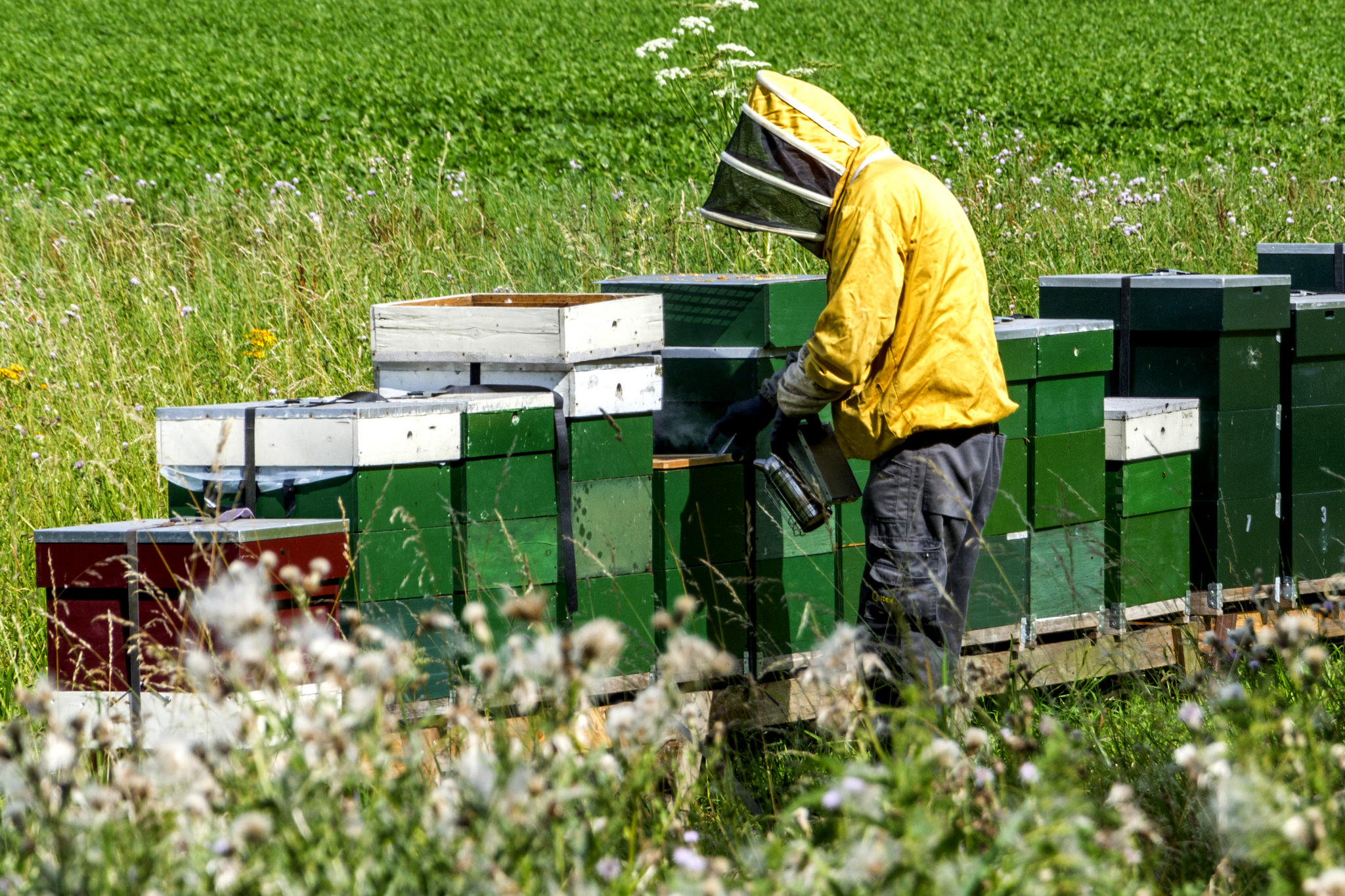 Beekeepers (Savour Ottawa Producers)