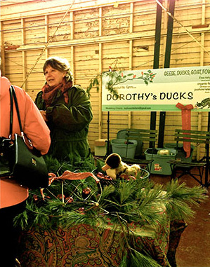 Dorothy's Ducks