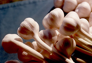 Glengyle Garlic